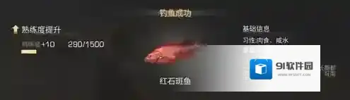 明日之后石斑鱼怎么获得 石斑鱼位置在哪