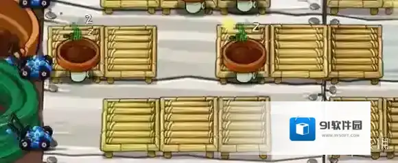 植物大战僵尸杂交版一个西瓜