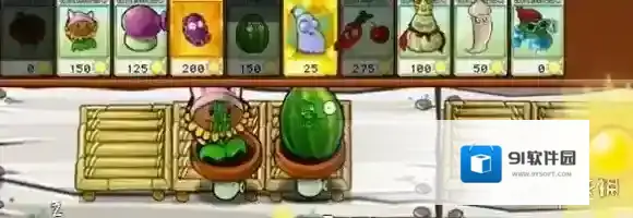 植物大战僵尸杂交版坚果