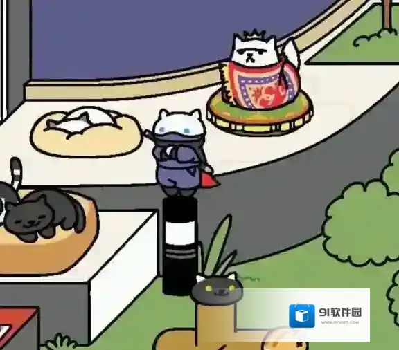 猫咪后院怎么获得