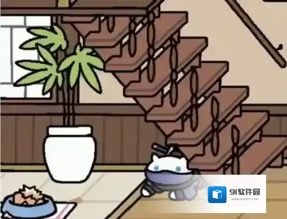 猫咪后院秘密任务