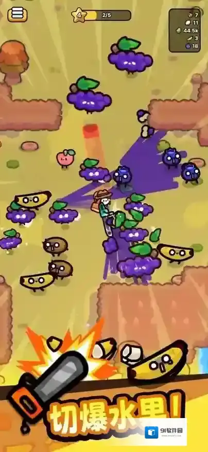 我只是水果水果