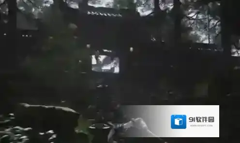 黑神话悟空观音