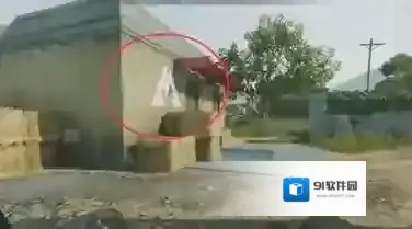 三角洲行动阿米亚