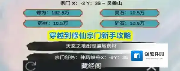 穿越到修仙宗门新手攻略