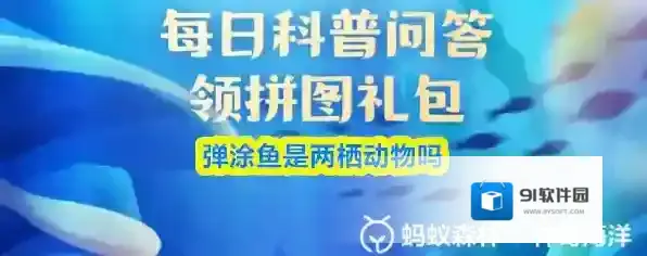 弹涂鱼是两栖动物吗