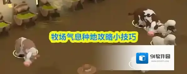 牧场气息种地攻略小技巧