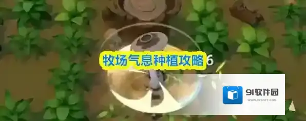 牧场气息种植攻略