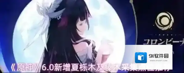《原神》6.0新增夏栎木及榛木采集点位推荐