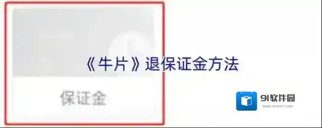 飞牛播放器牛片