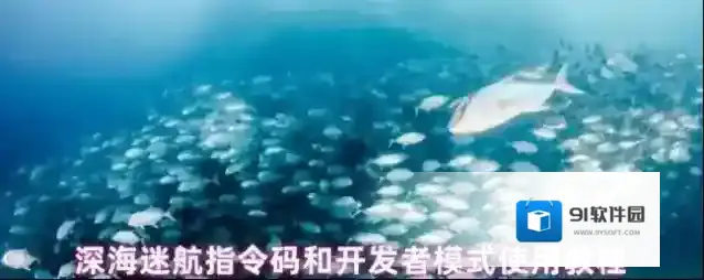 深海迷航指令码和开发者模式使用教程