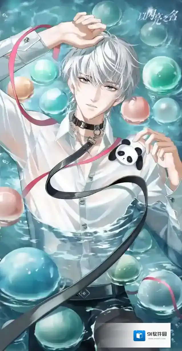 以闪亮之名探索