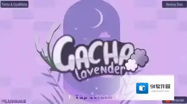 加查薰衣草薰衣草