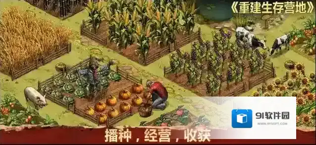 重建生存营地营地