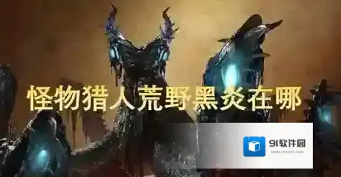 怪物猎人荒野寻找黑炎任务怎么做 怪物猎人荒野寻找黑炎任务攻略