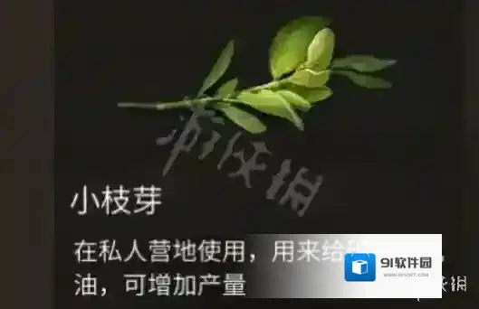 明日之后小枝芽怎么获得 明日之后小枝芽获得方法