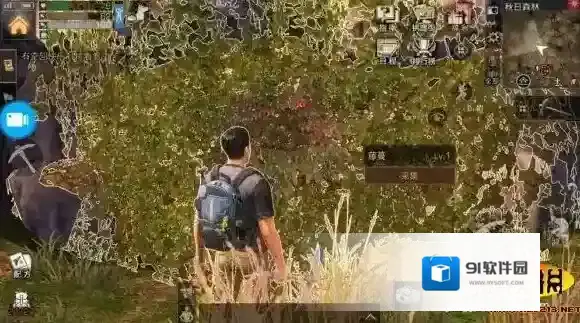 明日之后秋日森林怎么寻宝 秋日森林隐藏洞穴