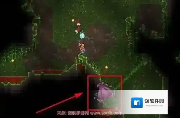 泰拉瑞亚如何获得