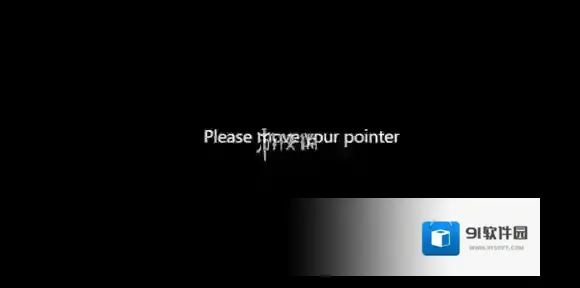 pointerpointer网页版入口