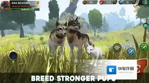 狼传说家园与爱心你可以