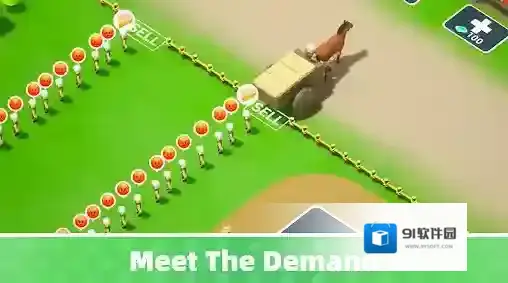 荒岛幸存者幸存者