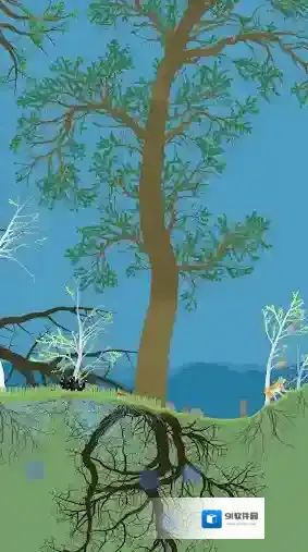 小松林生态系统