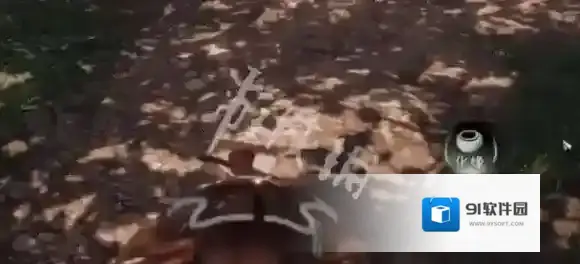 下一站江湖选择