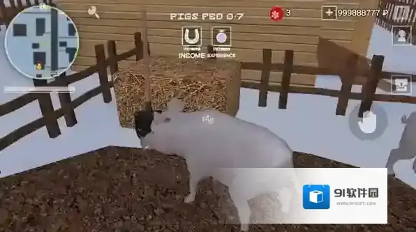 俄罗斯乡村模拟器动物