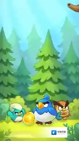 萌鸟总动员小鸟