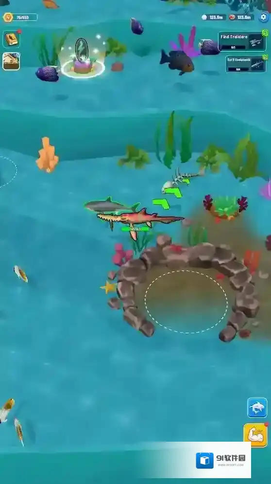 鲨鱼进化海洋之战海洋生物