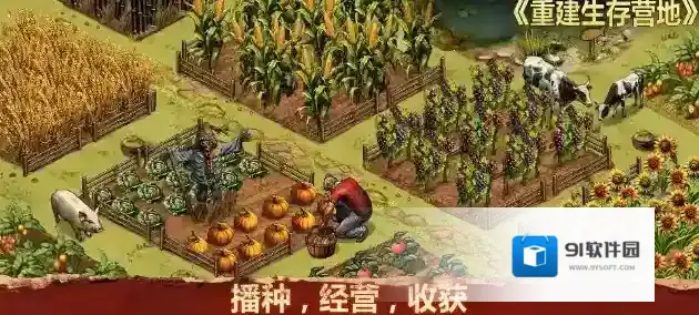 重建生存营地探索