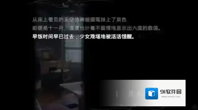 魔法使之夜选项