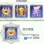 天天风之旅通用技能满级需要多少钻石