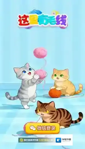 这里有毛线给你