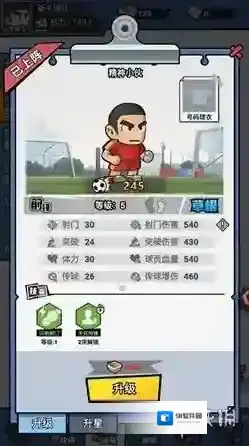 足球大人物球迷