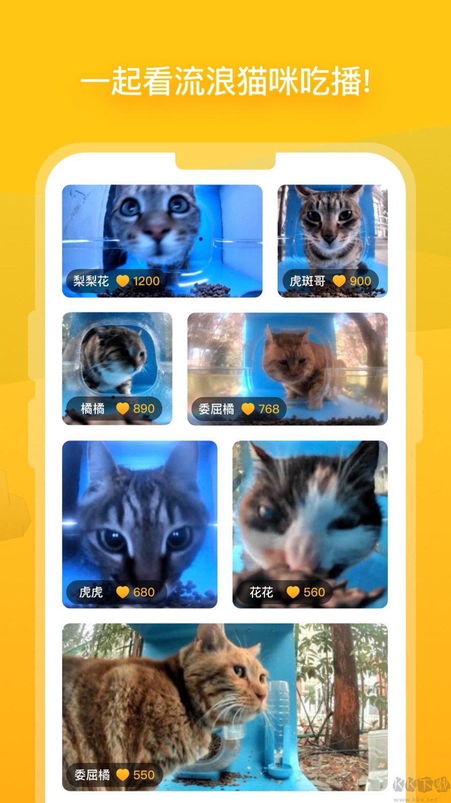 哈啰街猫最新版本手游截图1