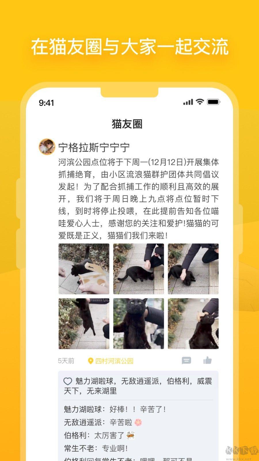 哈啰街猫最新版本手游截图2