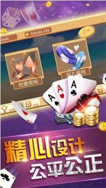 兴东棋牌官网版手游截图1