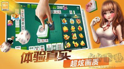 牵手益阳棋牌绿色豪华版手游截图2