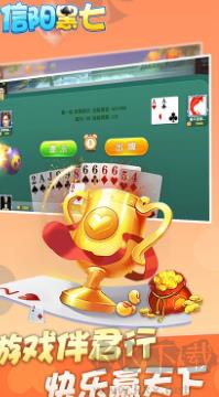 信阳黑七手机免费版手游截图3