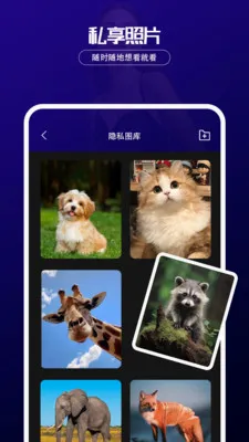伊月隐私播放器最新安卓版应用截图3