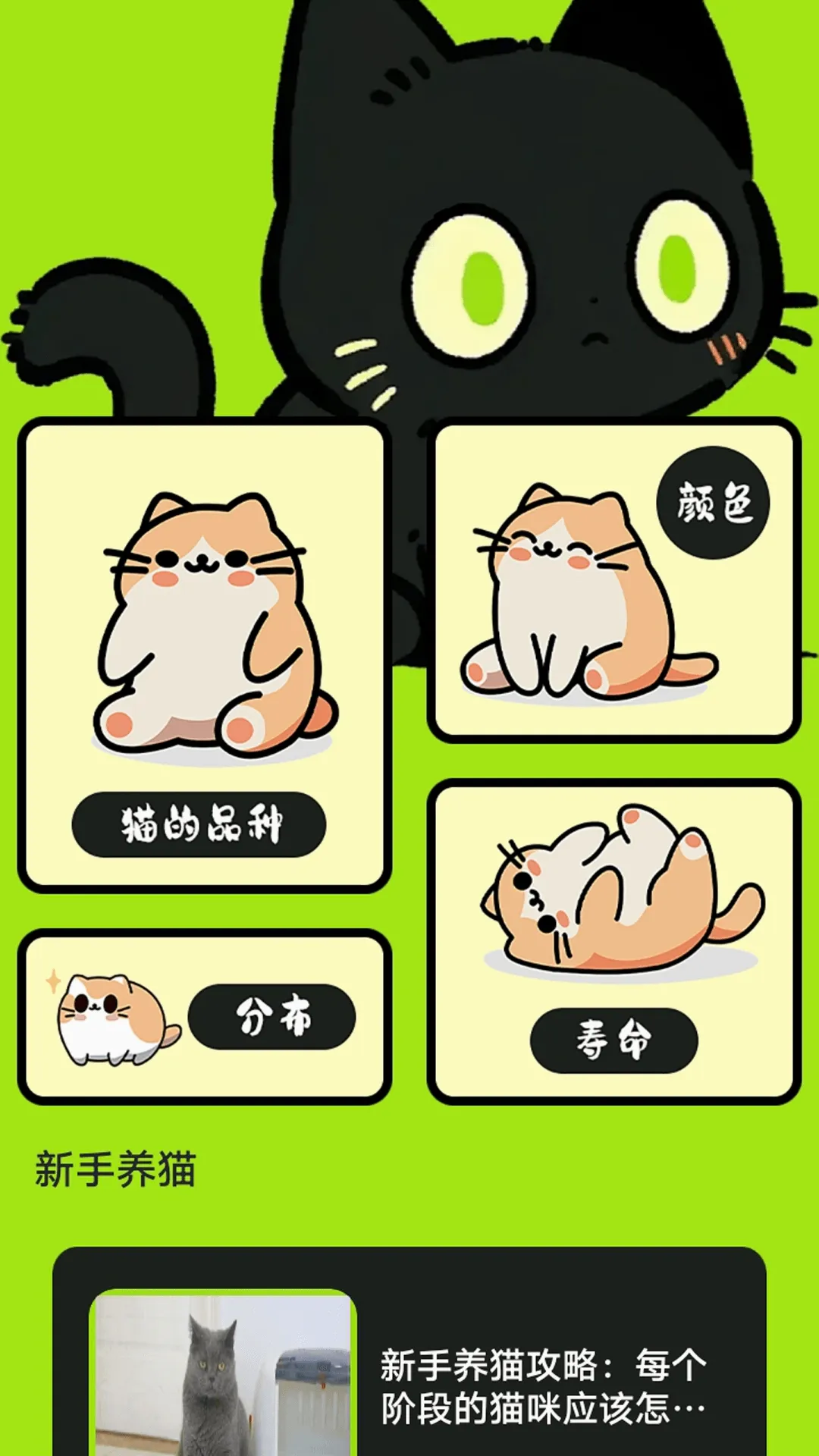 村庄叮叮猫(猫咪养宠助手)应用截图2