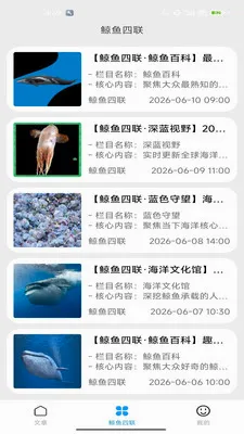 鲸鱼四联最新手机版应用截图3