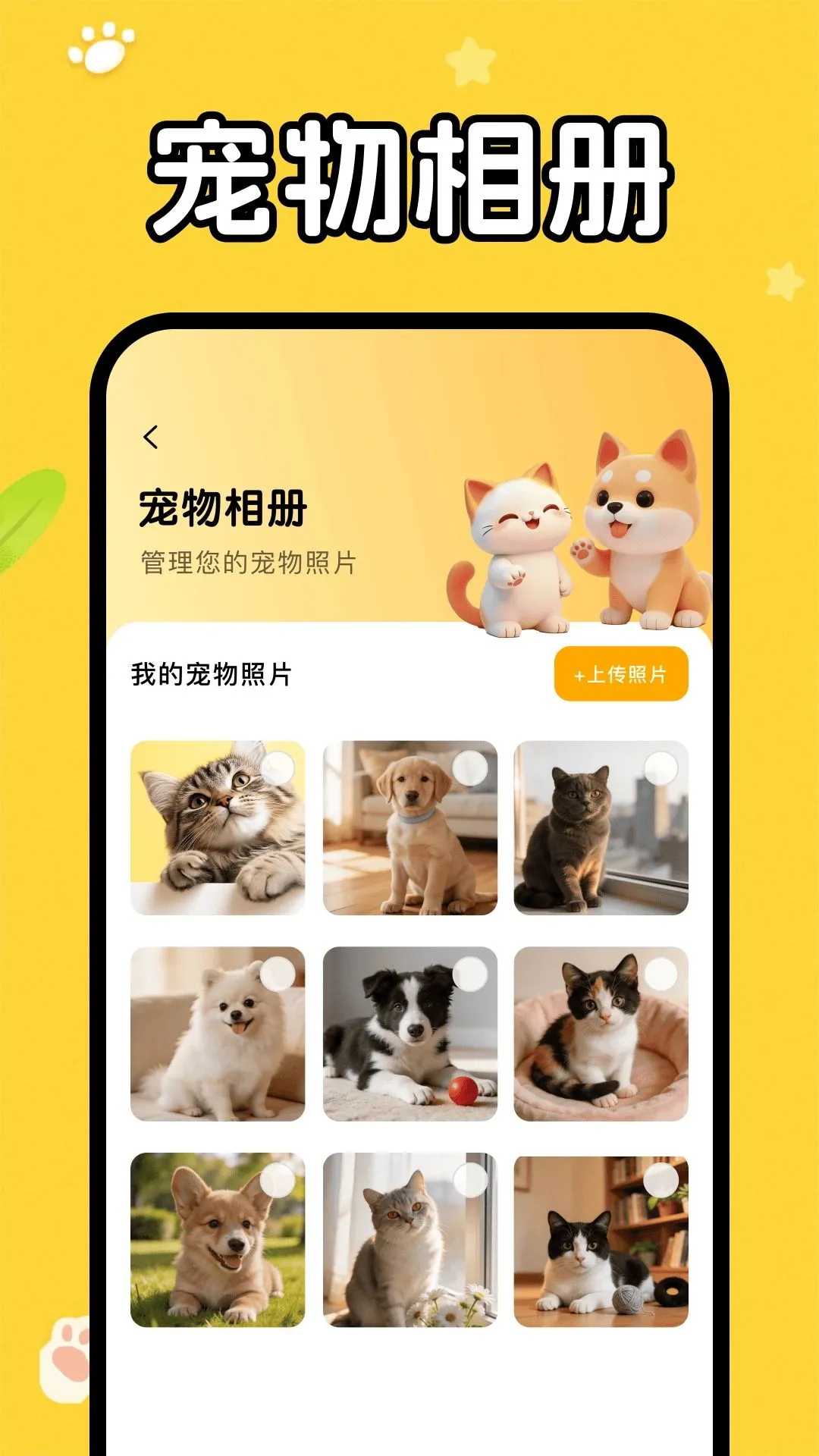 猫狗语音翻译器(宠物趣味互动软件)应用截图4
