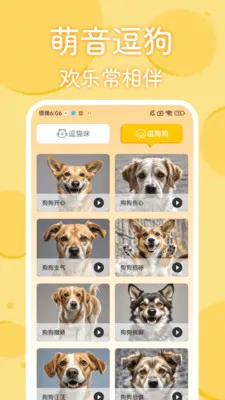 猫狗动物语翻译器(宠物趣味沟通应用)应用截图3