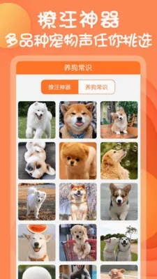 狗语翻译器软件(狗语翻译助手)应用截图2