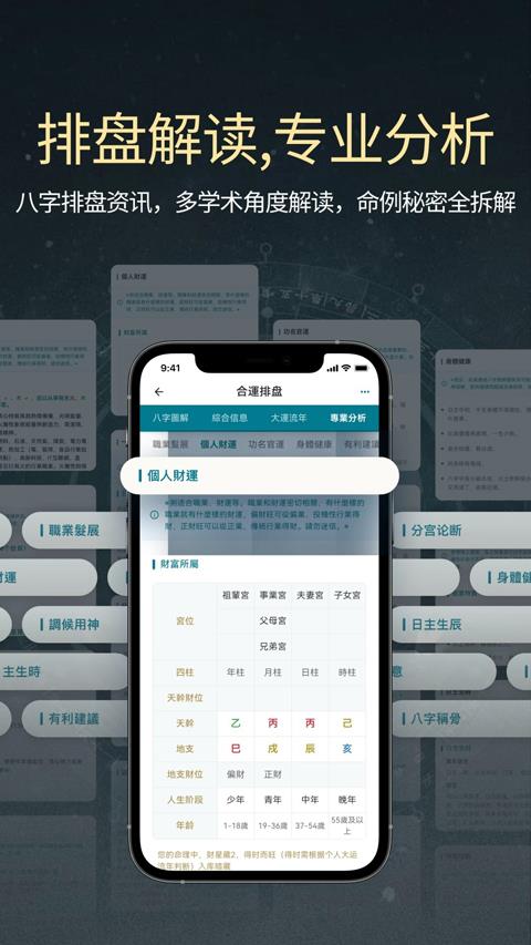 论玄排盘app应用截图2