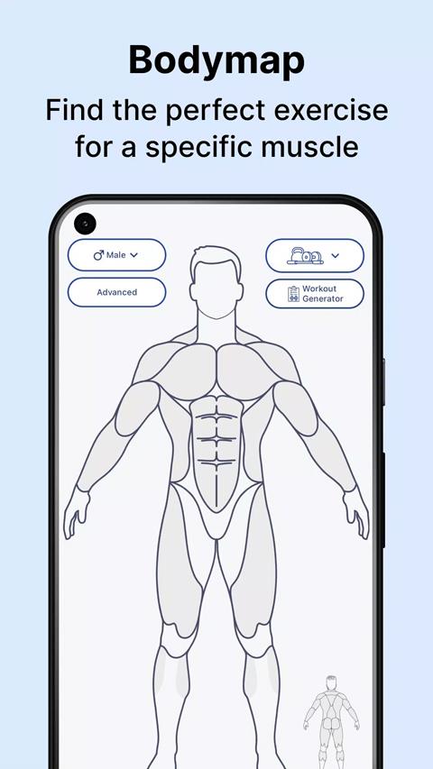 musclewiki手机版应用截图1