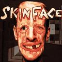 skinface官方最新版-v10.1 安卓版