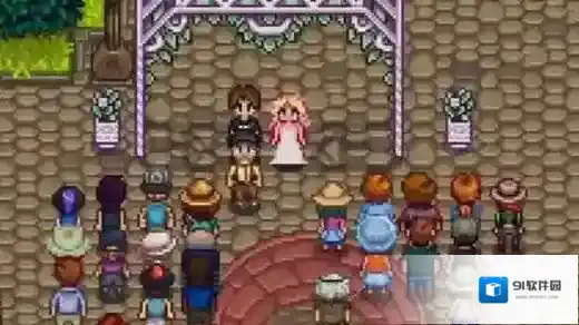 星露谷海莉对话选什么